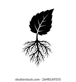 A unique vector illustration of a single leaf with intricate roots extending beneath it, symbolizing growth, natural foundation, or interconnectedness.