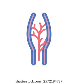 Unique Vein Anatomy Vector Design