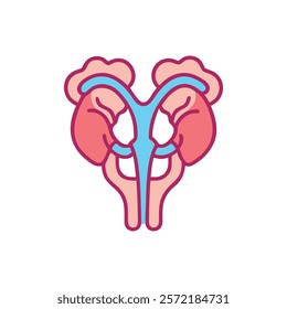 Unique Ventricles Anatomy Vector Illustration