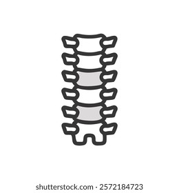 Unique Vertebral Column Anatomy Vector Illustration