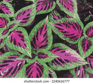 unique vibrant color leaves vector illustration watercolor template