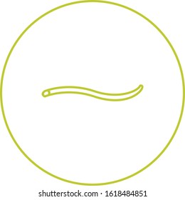 Unique Worm Vector Line Icon