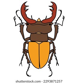 unique yellow brown beetle ,good for graphic design resources, posters, banners, templates, prints, coloring books and more.