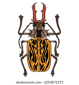unique yellow brown beetle ,good for graphic design resources, posters, banners, templates, prints, coloring books and more.