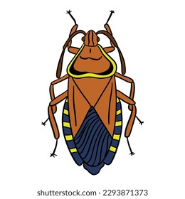 unique yellow brown beetle ,good for graphic design resources, posters, banners, templates, prints, coloring books and more.