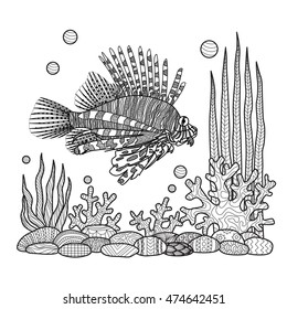 Unique zen doodles design of zebrafish swimming around sea corals,stones and seaweeds for T-Shirt design,tattoo, design element and adult coloring book pages - Stock vector