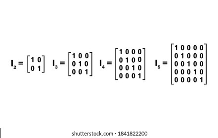 unit matrix or identity matrix