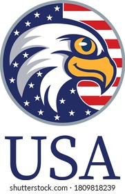 United state of America eagle icon template