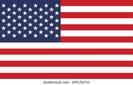 United State of America flag vector