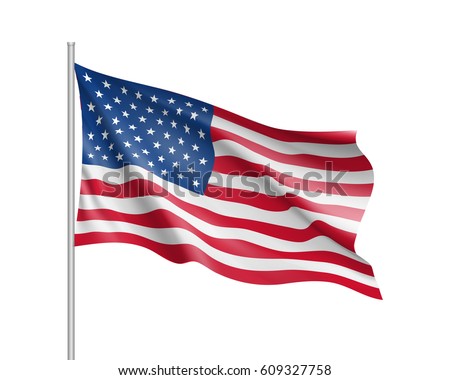 United State of America flag. Vector illustration.