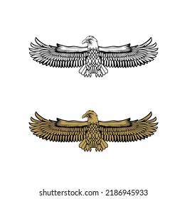 United State Marine Corps Eagle ega design illustration vector eps format , suitable for your design needs, logo, illustration, animation, etc.