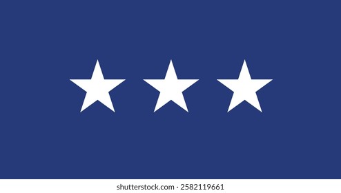 United States Air Force Lieutenant General Flag Vector Illustration Premium Quality