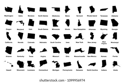 United States of America. 50 States. Vector illustration