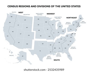 Estados Unidos da América, regiões e divisões do censo, mapa político cinza. Mapa dos EUA com quatro regiões principais, nove divisões, cinquenta estados e o Distrito de Columbia. Ilustração isolada.