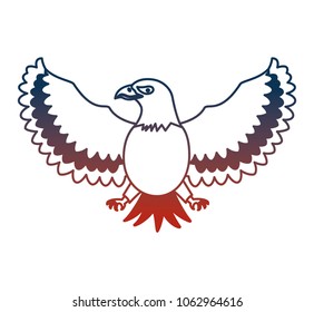 united states of america eagle
