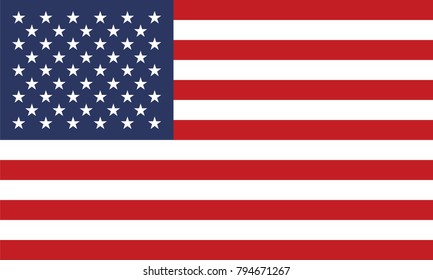 United States America Flag Stock Vector (Royalty Free) 794671267