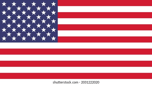United States of America flag. American flag vector illustration.