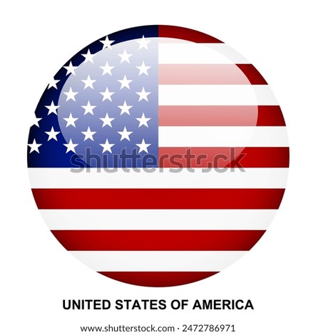 UNITED STATES OF AMERICA flag button on white background
