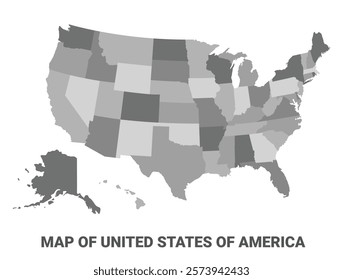 United States Of America Greyscale political map simple flat illustration