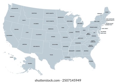 United States of America, silhouettes of states, gray political map. Fifty geographical areas and borders, united by a union and federal government with the capital city of the District of Columbia.