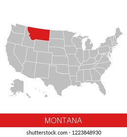 United States of America with the State of Montana selected. Map of the USA vector illustration