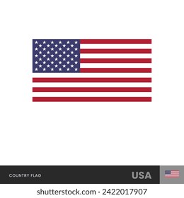 United States of America USA Flag vector illustration