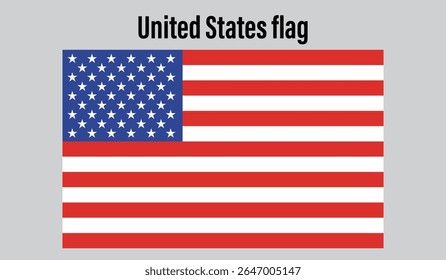 United States Flag design digital vector illustration