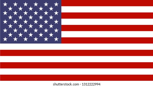 
United States flag vector