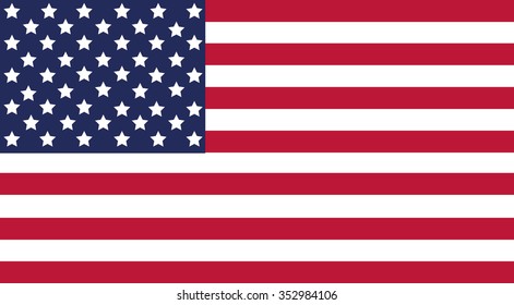 United States flag vector