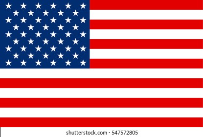 United States Flag, vector