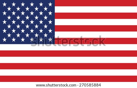 United States Flag Vector