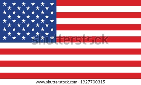 United States Flag Vector Closeup Illustration