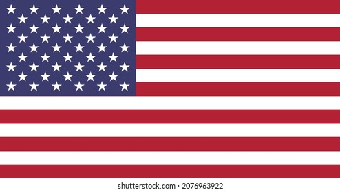United States flag vector for designer.