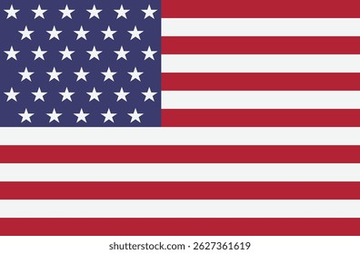 United states Flag Vector Icon Design