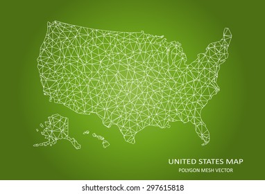 United States Polygonal Mesh Map