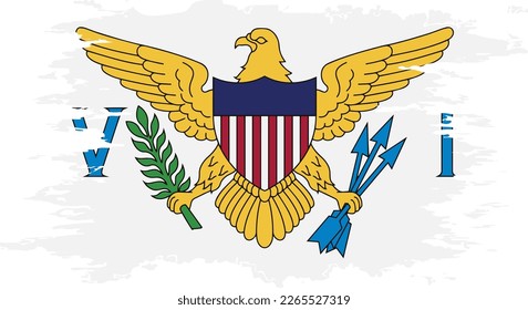 United States Virgin Islands flag grunge brush color image, vector