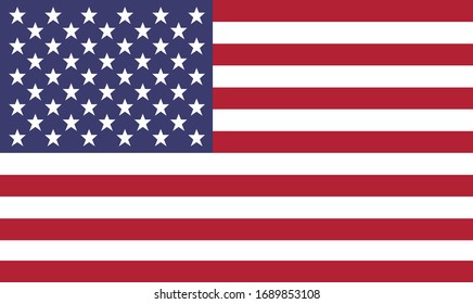 Unites States of America Flag. Flat Vector US flag.