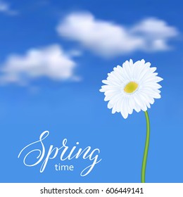 Universal background with gerbera flower, sky, clouds and place for text Vector illustration.