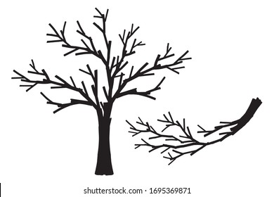 Universal decorative trees silhouettes without leaves, elements set white isolated. Basis graphics