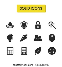 Universal icons set with calculator, mouse and carrot elements. Set of universal icons and leaves concept. Editable vector elements for logo app UI design.