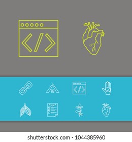 Universal icons set with roof, honesty and seed elements. Set of universal icons and programming concept. Editable vector elements for logo app UI design.