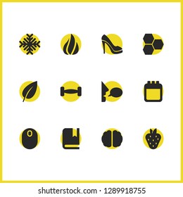 Universal icons set with strawberry, snowflake and leaves elements. Set of universal icons and dumbbell concept. Editable vector elements for logo app UI design.