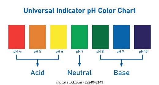 Gráfico de colores del pH indicador universal. Ilustración vectorial científica aislada en fondo blanco.