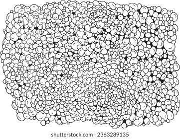 A universal pattern for choosing a black and white card, wall decor or other addition as a space decoration with a vector design
