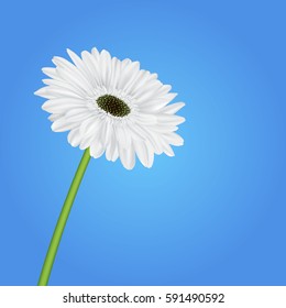 Universal spring blue abstract background with gerbera flower and place for text Vector illustration.