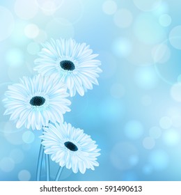 Universal spring blue abstract blurred background, bokeh with round lights, gerbera flower and place for text Vector illustration.