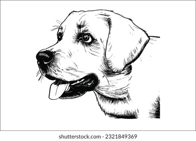 Unleash the captivating appeal of the Labrador Retriever dog head, a symbol of loyalty and charisma. This stunning image showcases the essence of this beloved breed.