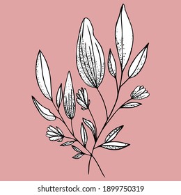 ungeöffnete Lilienknospe, Vektorgrafik auf Rosa