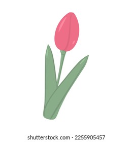 Unopened tulip bud in trendy soft shades in flat style. 8 March. Happy women day. Sticker. Icon.