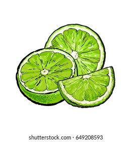Unpeeled green lime halves and pieces, hand drawn sketch style vector illustration on white background. Hand drawing of unpeeled lime, half, quarter, side view